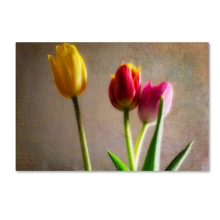 Trademark Fine Art Bob Rouse 'Standing Tall' Canvas Art, 12x19 ALI16158-C1219GG